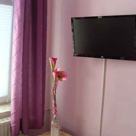 Hotel Gruner Kranz 3*