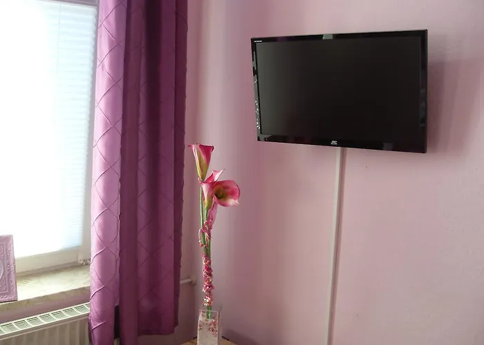 Отель Gruner Kranz 3*